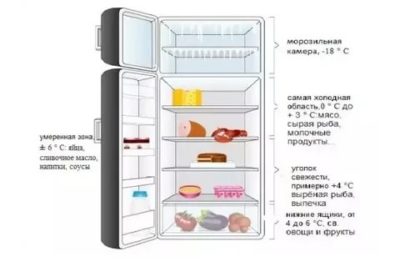 Где самая низкая температура в холодильнике