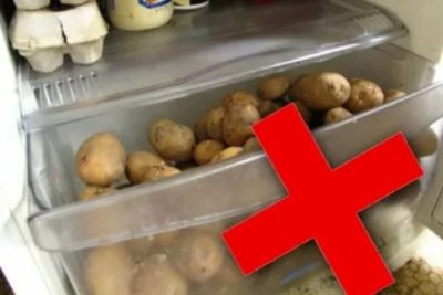 Можно ли хранить молодую картошку в холодильнике