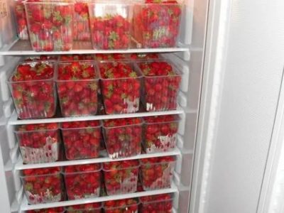 Сколько можно хранить ягоды в холодильнике