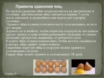 Как долго можно хранить яйца в холодильнике