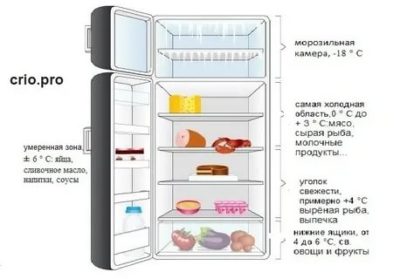 Сколько градусов нужно в холодильнике должно быть