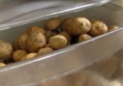 Сколько можно хранить в холодильнике вареную картошку в мундире