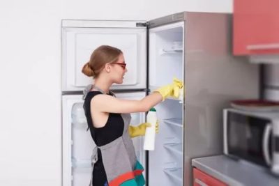 Можно ли мыть холодильник с хлоркой