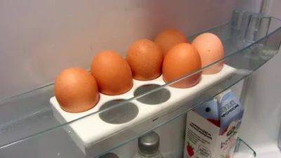 Почему не может хранения яиц в холодильнике