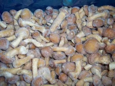 Можно ли замораживать свежие грибы