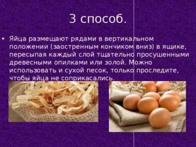 Как сохранить куриные яйца без холодильника