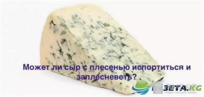 Можно ли хранить сыр с плесенью в морозилке