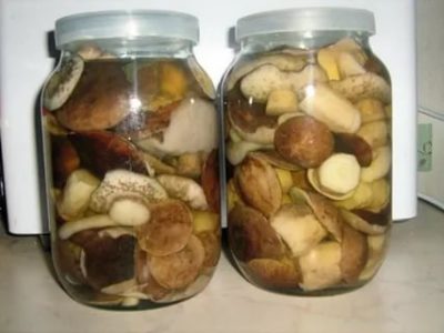 Сколько можно хранить грибы в морозильной камере