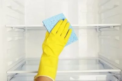 Можно ли мыть холодильник белизной