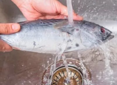 Почему нельзя размораживать рыбу в воде