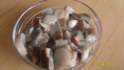 Сколько можно хранить белые грибы в морозилке