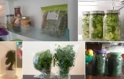 Как хранить зелень в холодильнике свежей