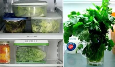 Как долго хранить зелень в холодильнике