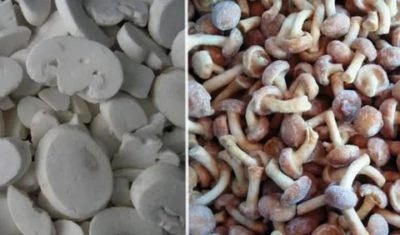 Сколько хранят грибы в морозилке