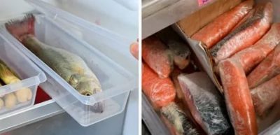 Как сохранить свежую рыбу без заморозки