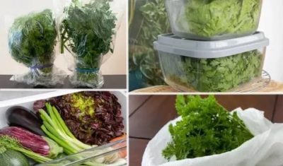 Как правильно хранить свежую зелень в холодильнике
