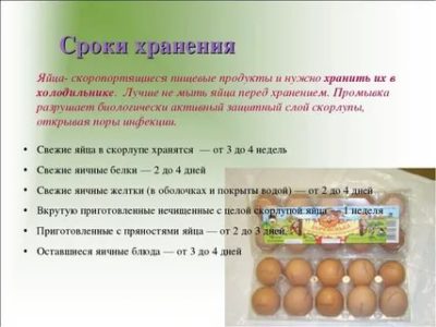 Сколько можно хранить яйца без скорлупы в холодильнике