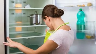 Как помыть холодильник лимоном