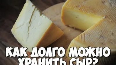 Как дольше сохранить сыр в холодильнике