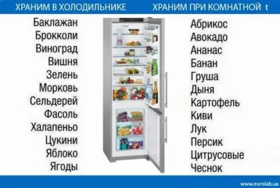 Сколько можно хранить Лагман в холодильнике