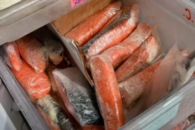 Как дольше сохранить замороженную рыбу без холодильника