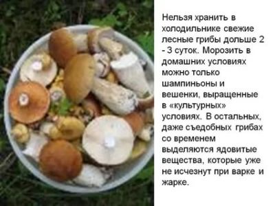 Сколько можно хранить свежие грибы в морозилке