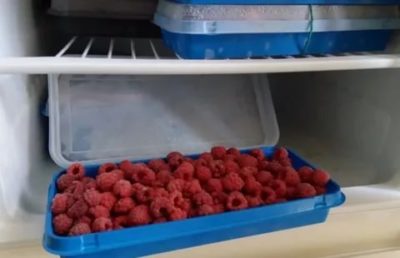 Сколько можно хранить в холодильнике малину