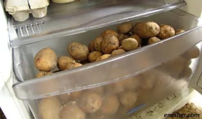 Где лучше хранить картофель в холодильнике или нет