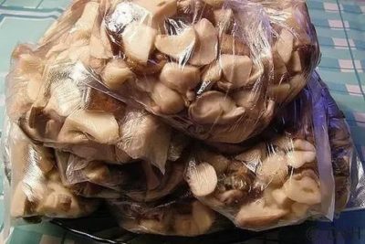 Можно ли заморозить белые грибы