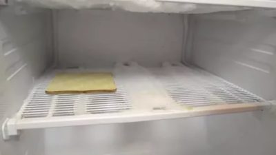 Почему в морозильной камере запах