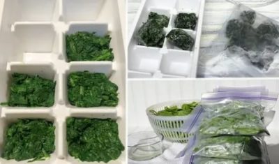 Как правильно хранить шпинат в холодильнике