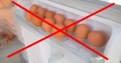 Почему Яйца нельзя хранить в дверце холодильника
