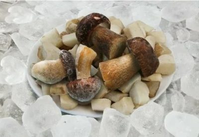 Можно ли собирать замороженные грибы