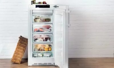 Можно ли использовать холодильник на морозе