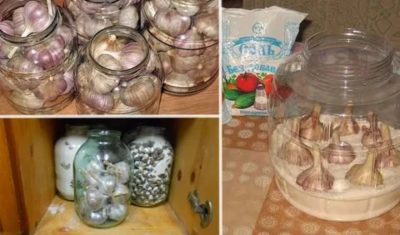 Как хранить чеснок в домашних условиях в холодильнике