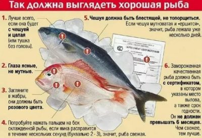 Как определить качество замороженной рыбы