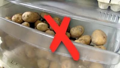 Как долго можно хранить картошку в холодильнике