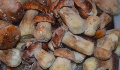 Как можно быстро разморозить грибы