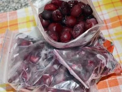 Можно ли замораживать вишни с косточками