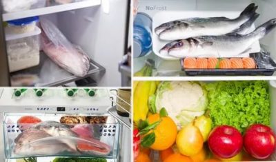 Сколько хранится свежая красная рыба в холодильнике
