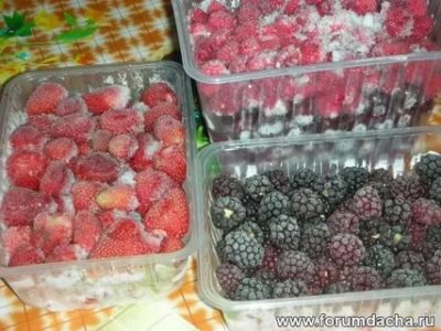 Можно ли замораживать ягоды в пластиковых контейнерах