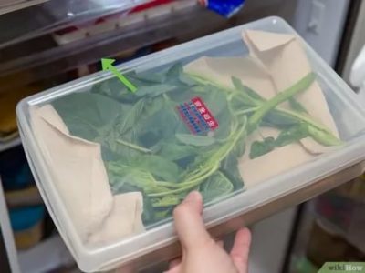 Сколько можно хранить шпинат в холодильнике