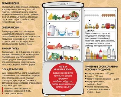 Как правильно расположить продукты в холодильнике