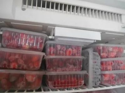 Сколько можно хранить в холодильнике малину