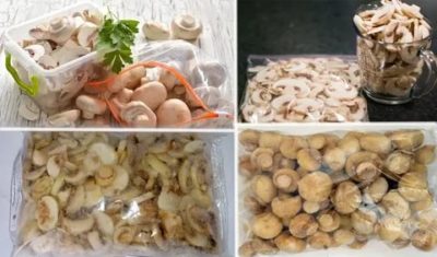 Сколько можно хранить лесные грибы в холодильнике