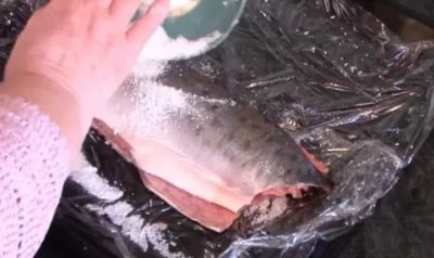 Можно ли заморозить рыбу после засолки