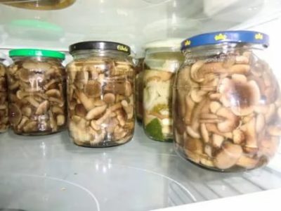 Сколько хранятся грибы без холодильника