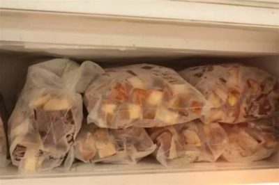 Можно ли хранить белые грибы в холодильнике
