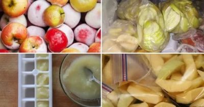 Как хранить яблоки в морозильной камере