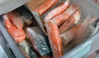 Сколько может хранится в холодильнике соленый лосось
